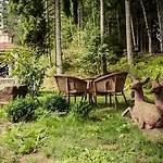 Langenwaldsee 4*