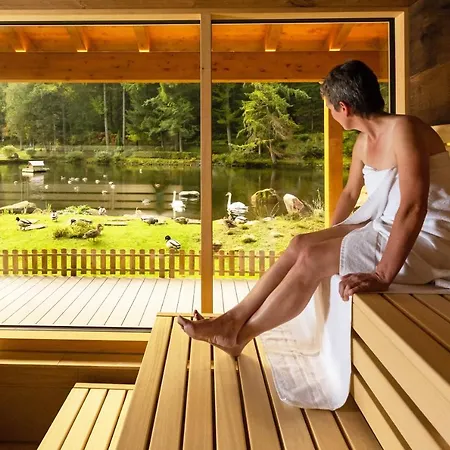 Langenwaldsee Hotel