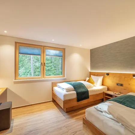 Hotel Langenwaldsee 4*