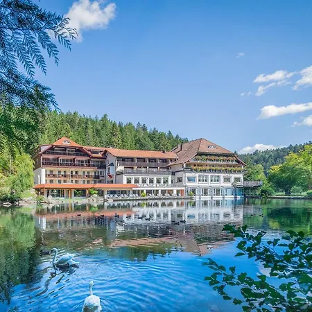 Hotel Langenwaldsee 4*