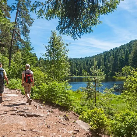 מלון Langenwaldsee 4*
