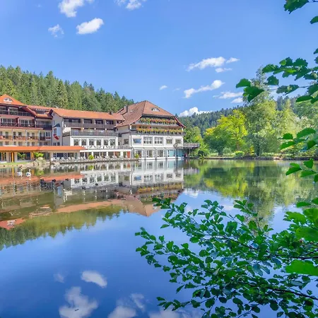 Langenwaldsee Hotel