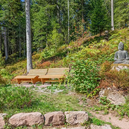 Langenwaldsee Freudenstadt