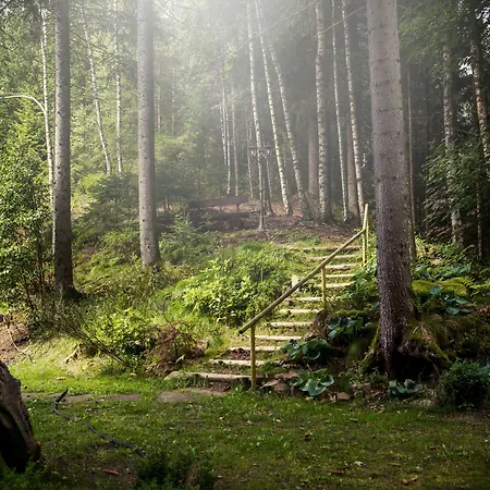 Langenwaldsee Hotel 4*