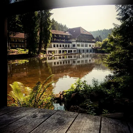 Langenwaldsee 4* פרוידנשטאדט