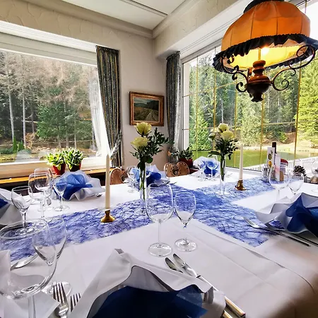 Langenwaldsee Hotel 4*