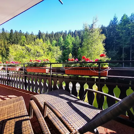 Langenwaldsee מלון פרוידנשטאדט