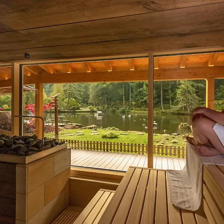 ホテル Langenwaldsee フロイデンシュタット
