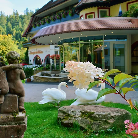 Langenwaldsee 4* フロイデンシュタット