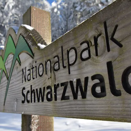 Langenwaldsee ホテル 4*