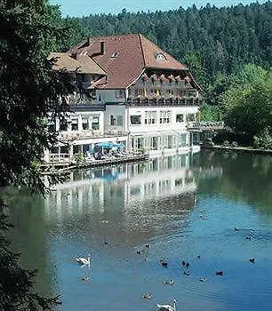 Langenwaldsee