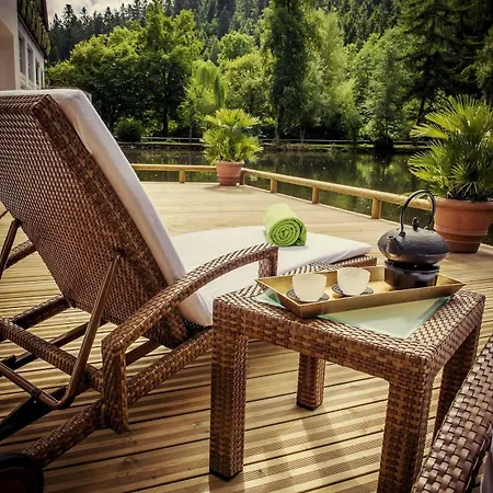 Hotel Langenwaldsee 4*