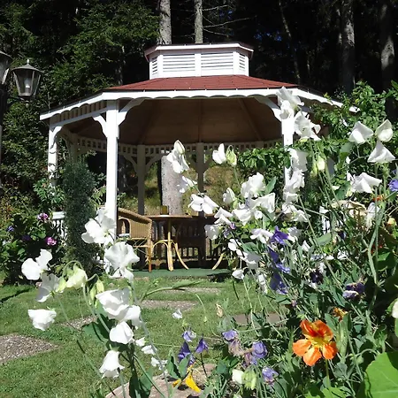Langenwaldsee 4* Freudenstadt
