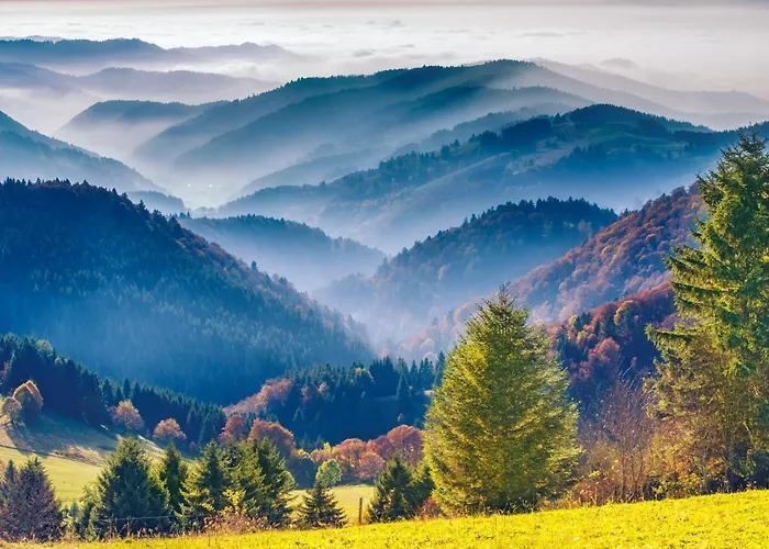Langenwaldsee Freudenstadt