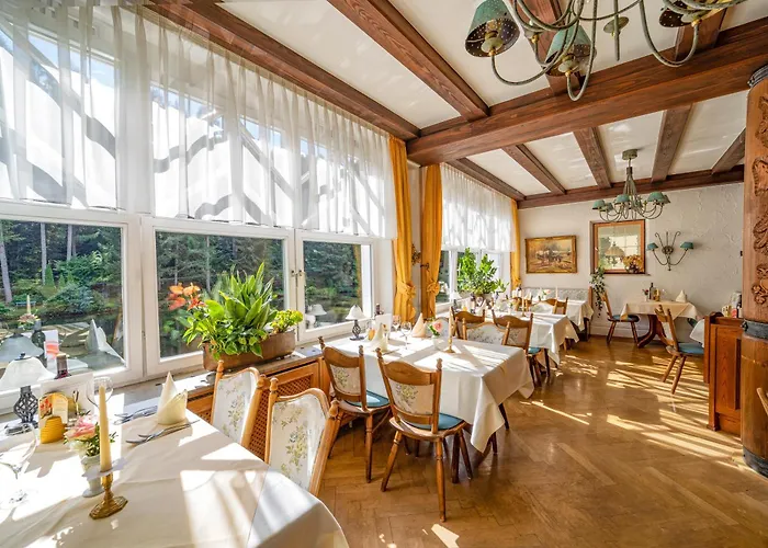 Langenwaldsee Hotel 4*