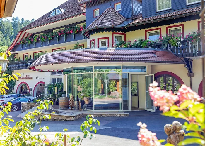 Langenwaldsee 4* Freudenstadt