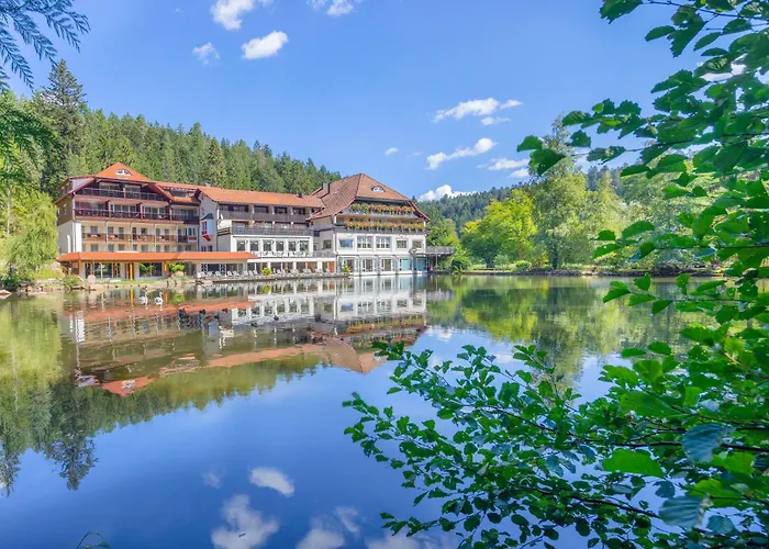 Langenwaldsee Hotel