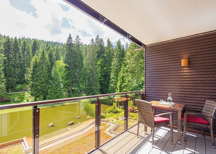 Langenwaldsee Hotel 4*