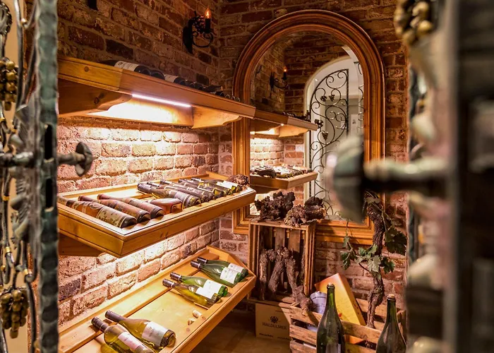 Hotel Langenwaldsee 4*