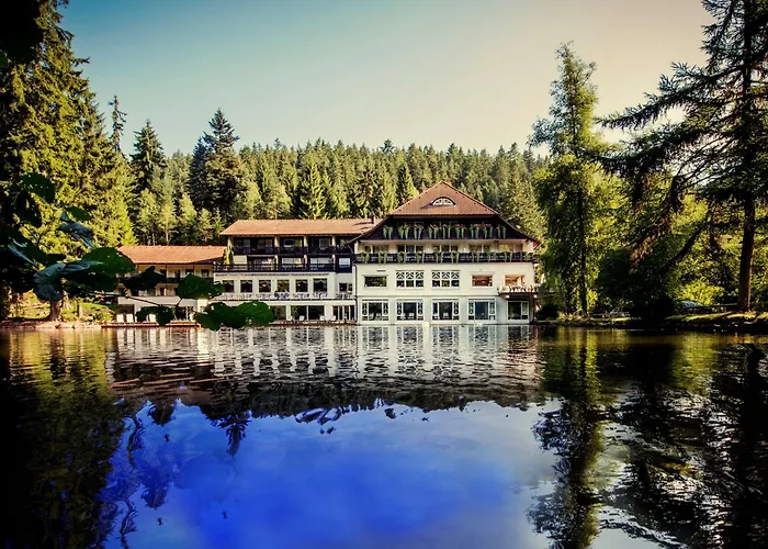 Hotel Langenwaldsee Freudenstadt
