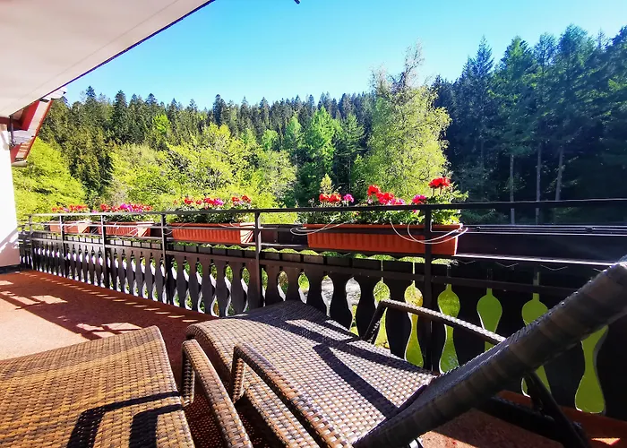 Langenwaldsee Hotel Freudenstadt